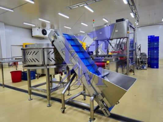 He-Thong-Dong-Goi-Tu-Dong-Giai-Phap-Dot-Pha-Tu-Cong-Ty-TNHH-Thiet-Bi-Thuc-Pham-FM